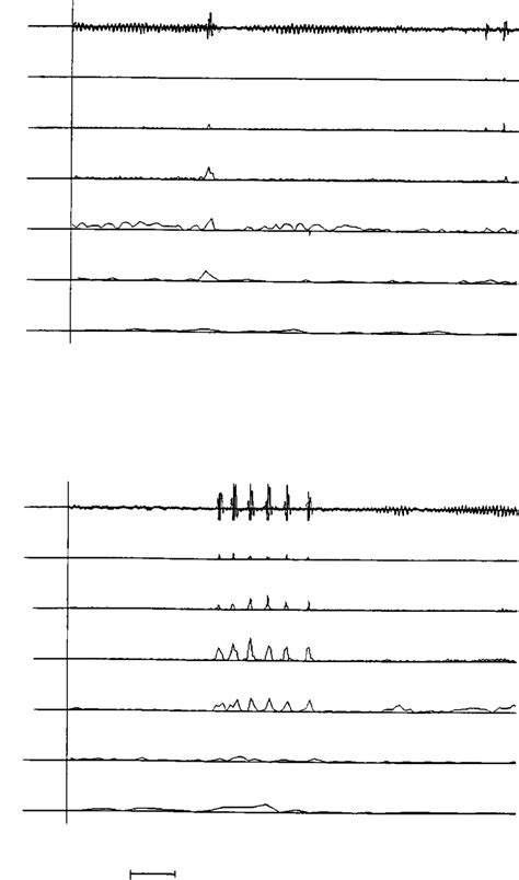 Dilatation Premieres New Single and Music Video from Upcoming EP