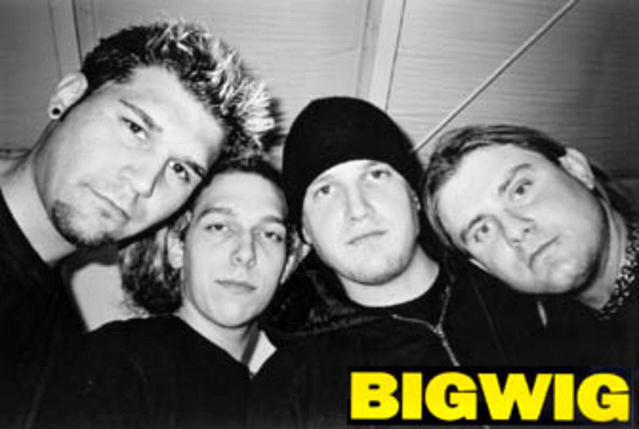 Bigwig