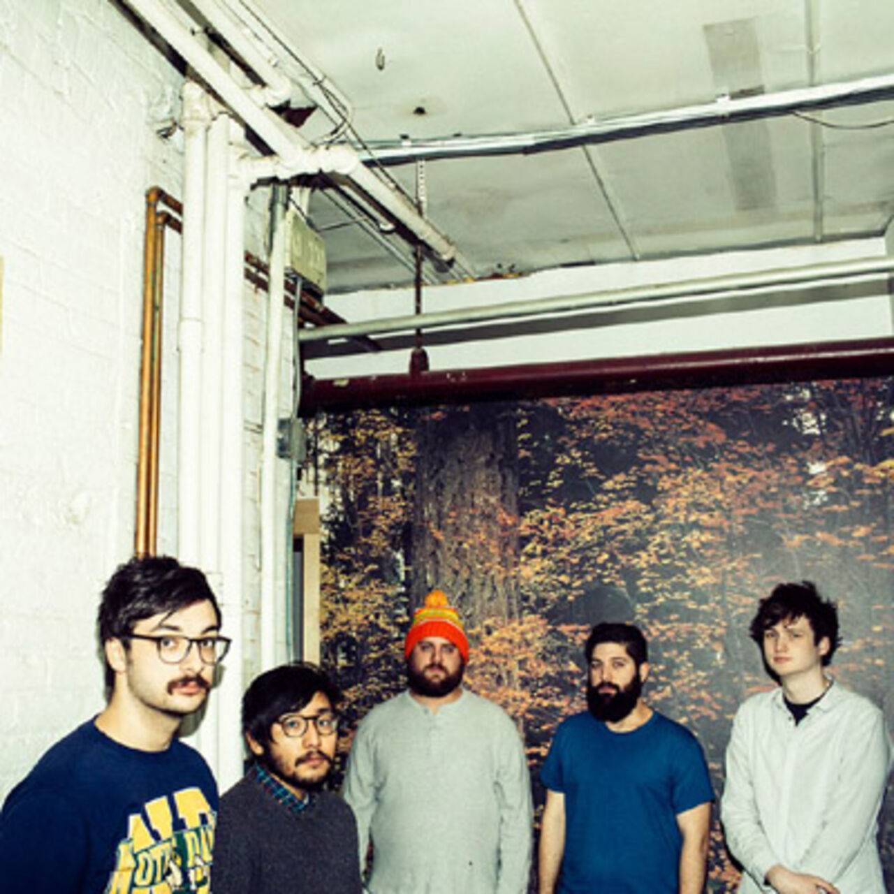 Foxing
