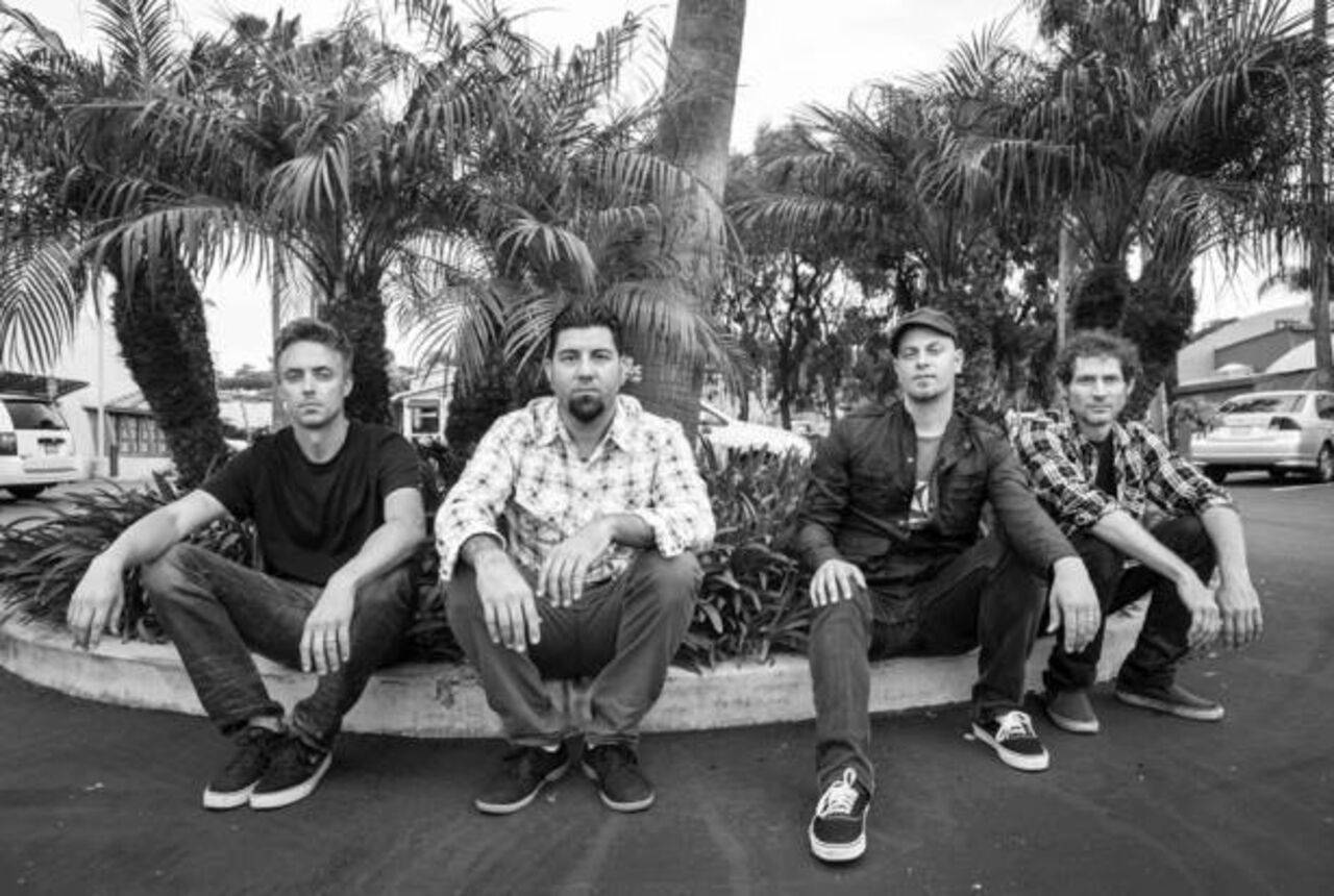 Palms