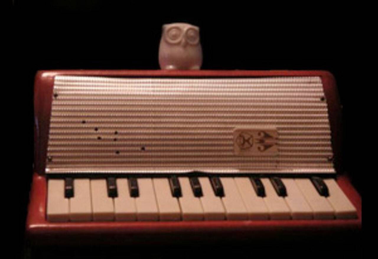 Parliament Of Owls