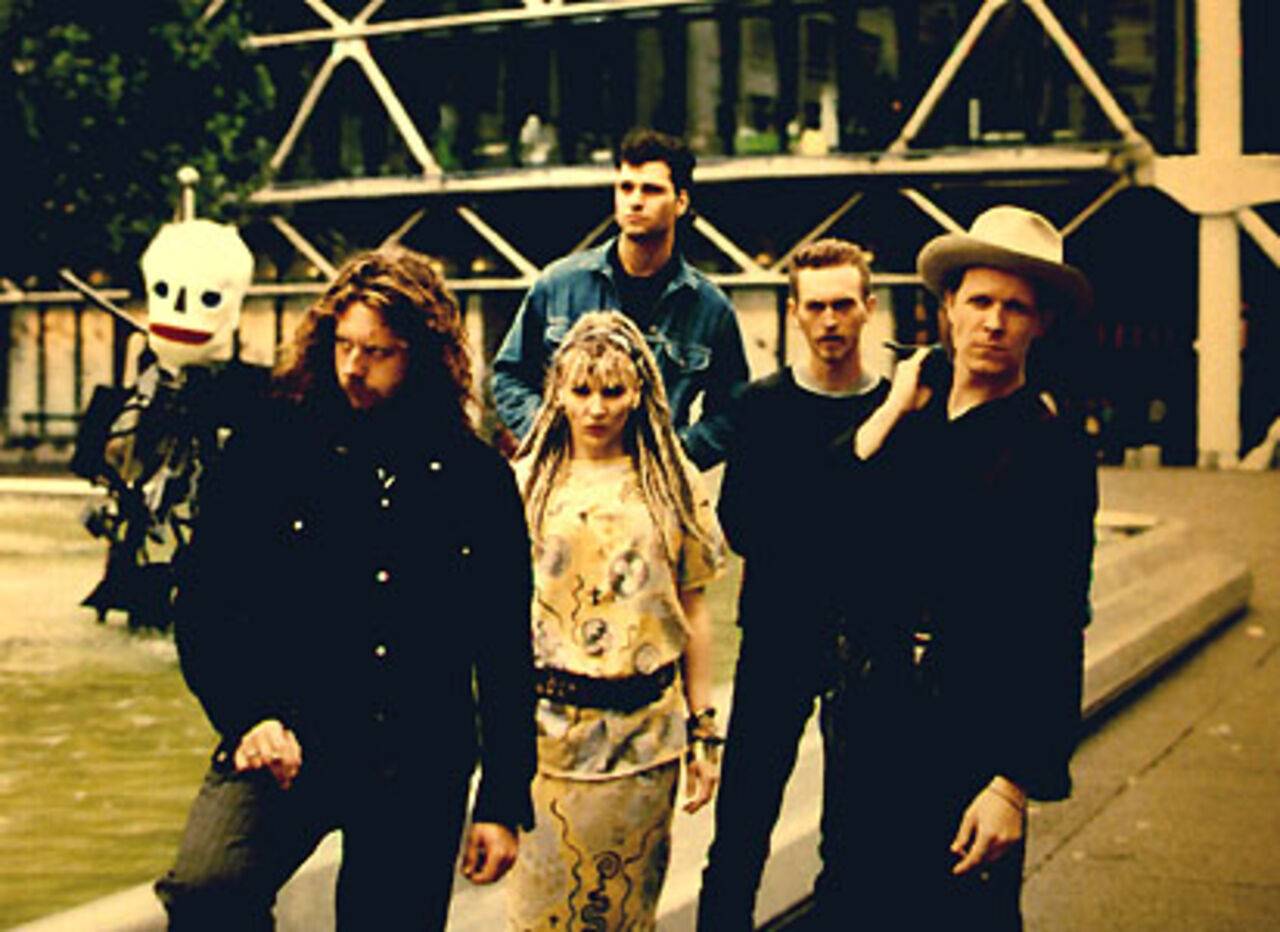 Swans