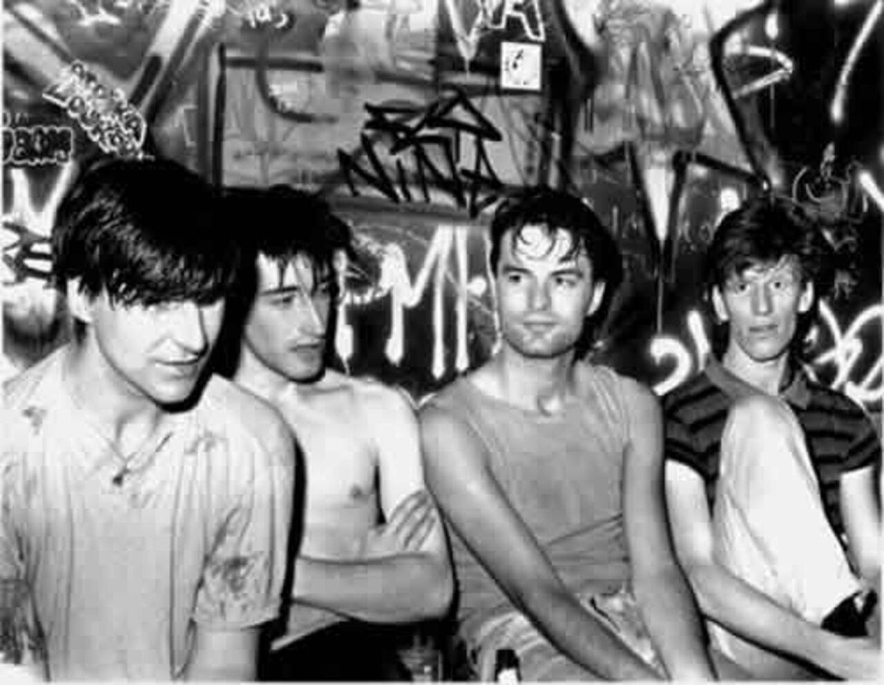 The Chameleons