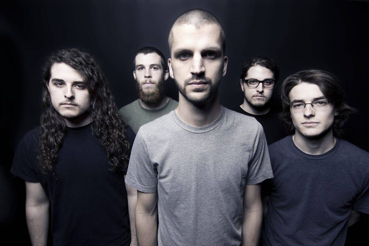 The Contortionist