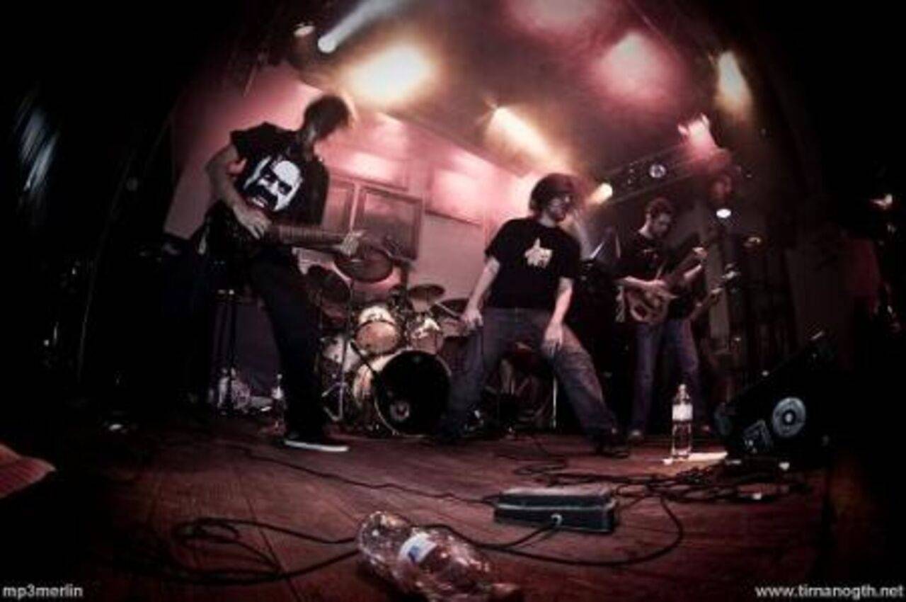 Walrus Resist