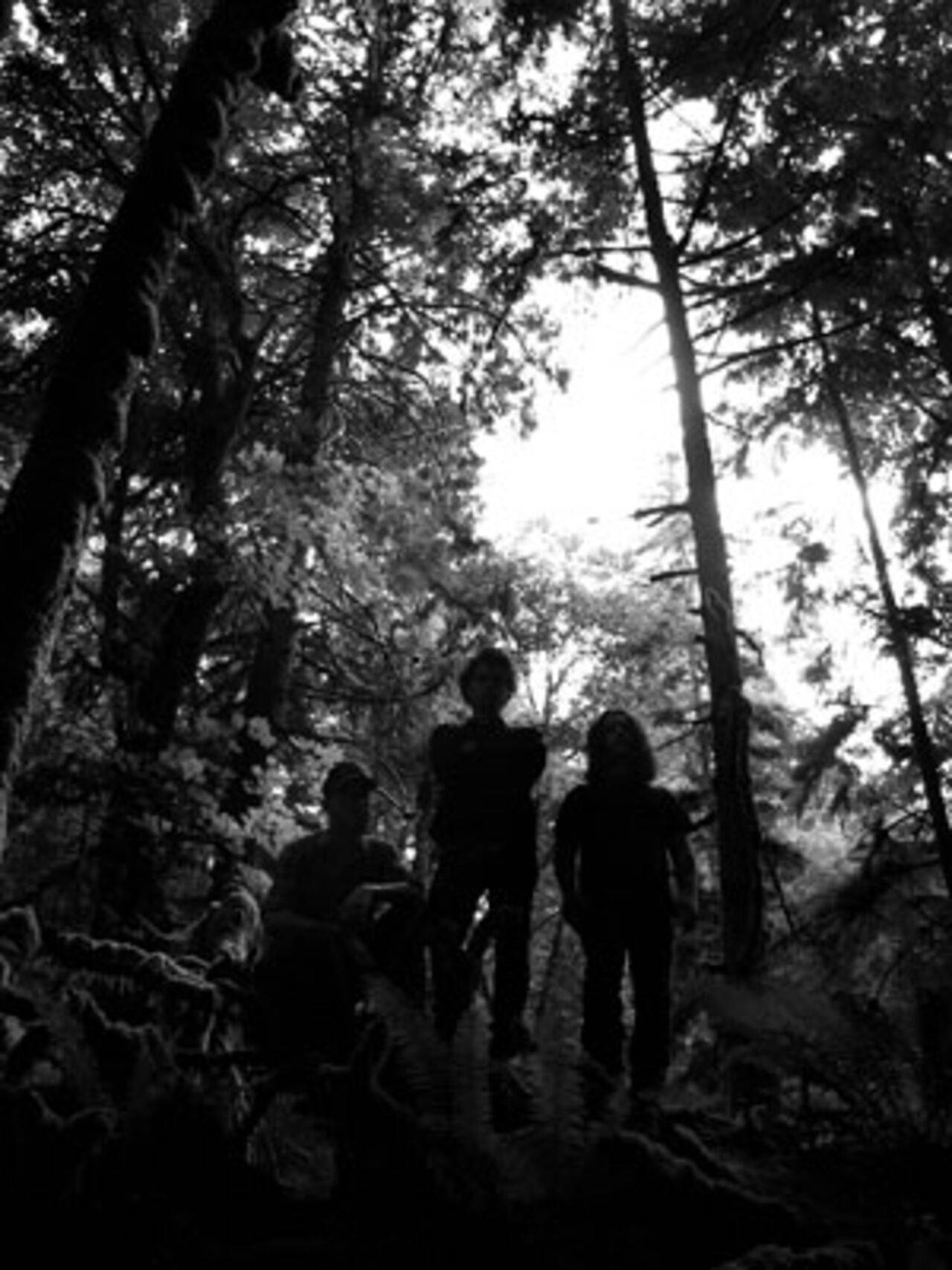 Wolves In The Throne Room