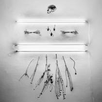 The Abyss Stares Back #5