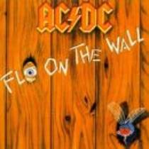 Fly On The Wall