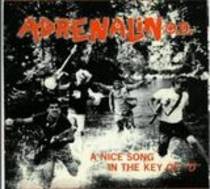A Nice Song in the Key of D 7"