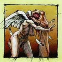 The Poacher Diaries - Split avec Converge