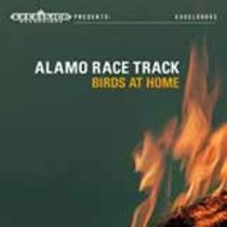 Birds At Home