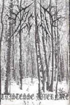Tristesse Hivernale