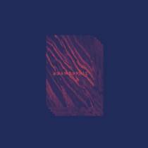 Anamorphic