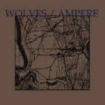 Split w/ Wolves 7"