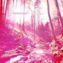 Hearts Of Light | Blossoms