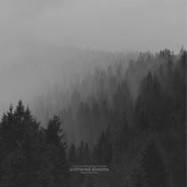Withered Dreams