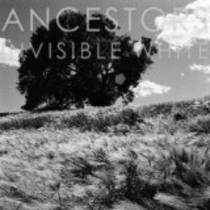 Invisible White