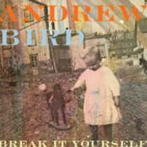 Break It Yourself