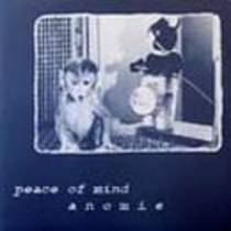 Split LP w/ Prace Of Mind