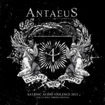 Satanic Audio Violence 2013 - Live At Wolf Throne Festival