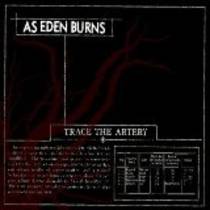 Trace The Artery