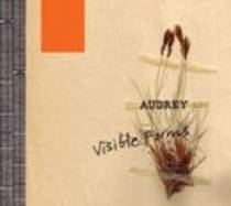 Visible Forms