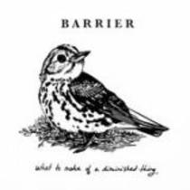 What to make of a diminished thing