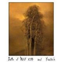Split avec Kaddish