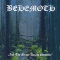 And The Forest Dream Eternally / Forbidden Spaces (split avec Damnation)