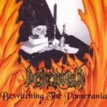 Bewitching The Pomerania