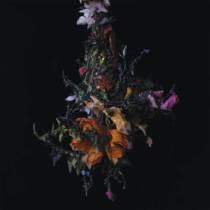 Nature Morte