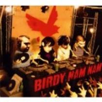 Birdy Nam Nam