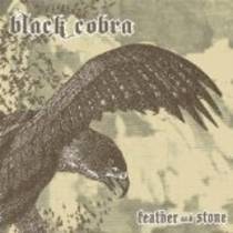 Feather And Stone