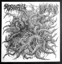 Spectral Voice / Blood Incantation