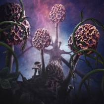 Hallucinogen