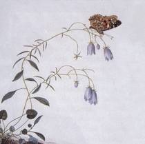 I: The Suicide Tree / II: A Rose From the Dead