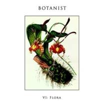 VI: Flora