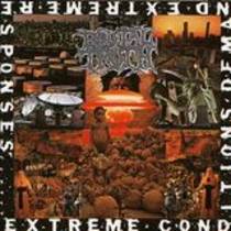 Extreme Conditions Demans Extreme Responses