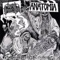 Decomposing Serenades (split avec Anatomia)
