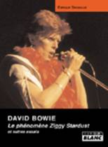 David Bowie - Le Phénomène Ziggy Stardust (Enrique Seknadje)