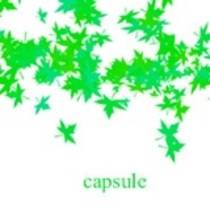 Capsule