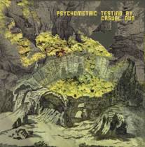 Psychometric Testing By...
