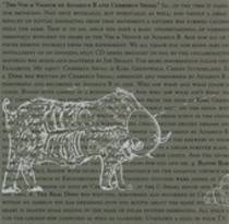 The Vim and Vigour of Alvarius B and Cerberus Shoal