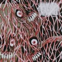 Molecular Entropy Examined In The Bowels Of A Great One