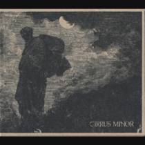 Cirrus Minor