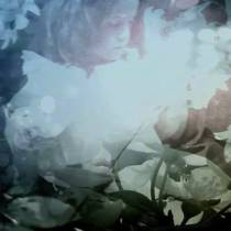 Elestial / Opal (split avec Sleeping Peonies)
