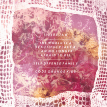 Split avec Tigers Jaw, The World Is A Beautiful Place And I Am No Longer Afraid To Die, Self Defense Family