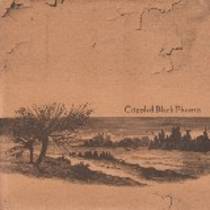 Crippled Black Phoenix