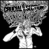 Split w/ Thrashington DC