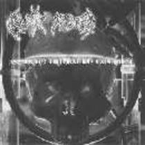 Postmortem Trephination Experiment